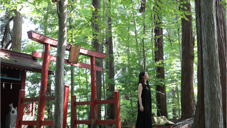 熊野大社の巡り方