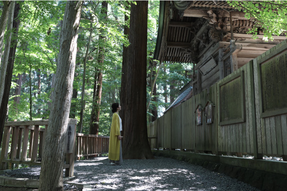 2. 本殿裏 三羽のうさぎ